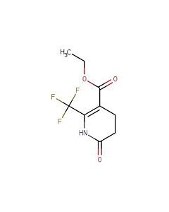 Astatech ETHYL 2-OXO-6-(TRIFLUOROMETHYL)-3,4-DIHYDRO-1H-PYRIDINE-5-CARBOXYLATE, 95.00% Purity, 1G